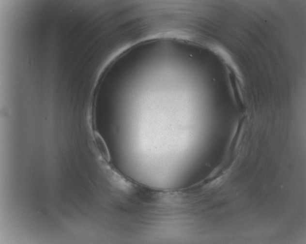 X0000069830952200605261837