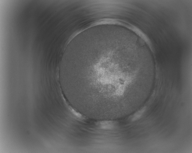 X0000069830953200605261837