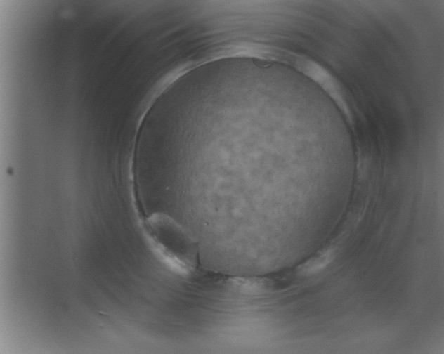 X0000069830954200605261837