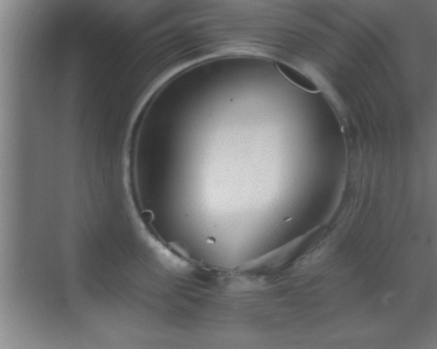 X0000069830955200605261837