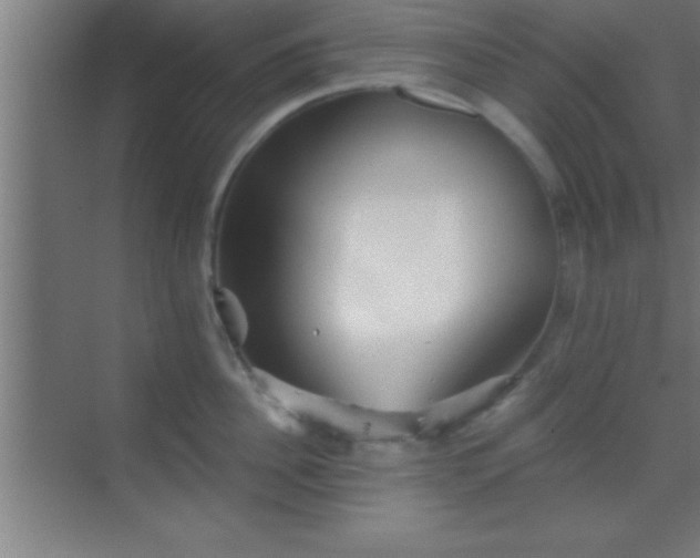 X0000069830956200605261837