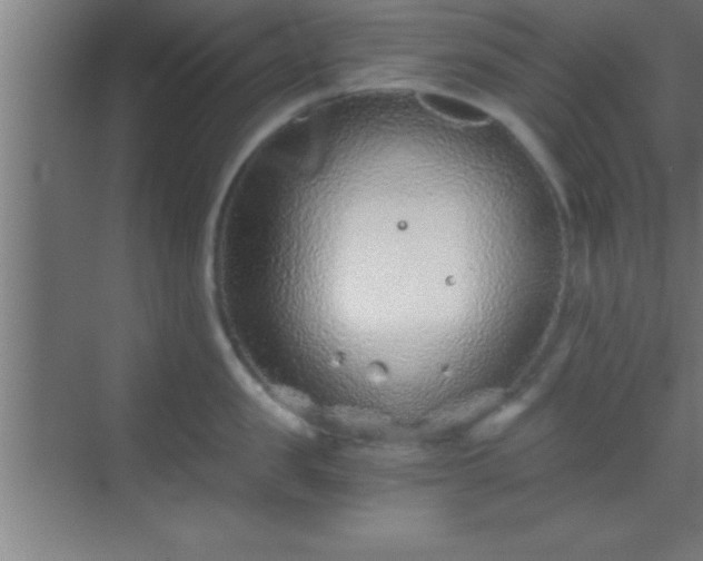 X0000069830957200605261837