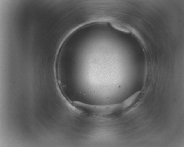 X0000069830959200605261838