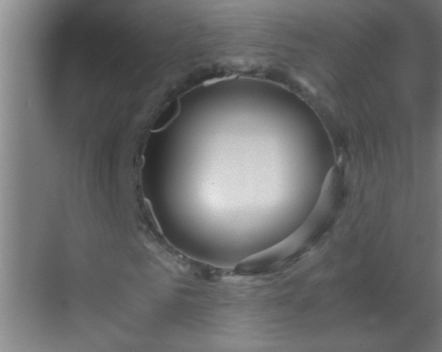 X0000069830961200605261837