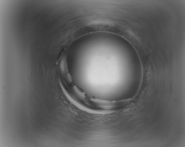 X0000069830965200605261837