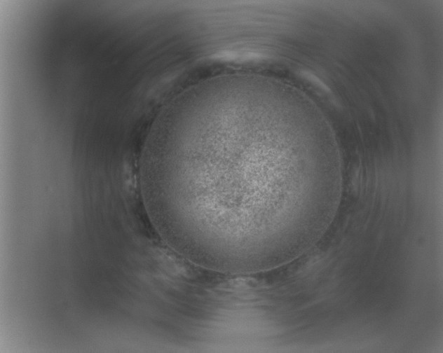 X0000069830966200605261837