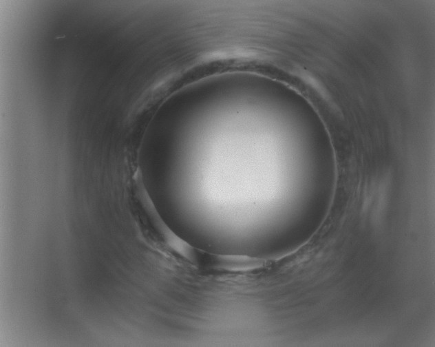 X0000069830967200605261837