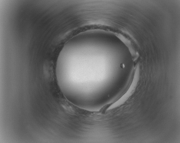 X0000069830968200605261837