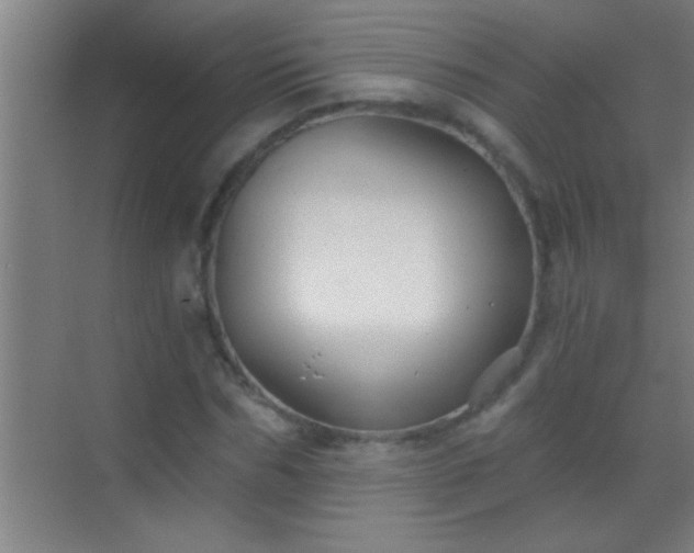 X0000069830970200605261837