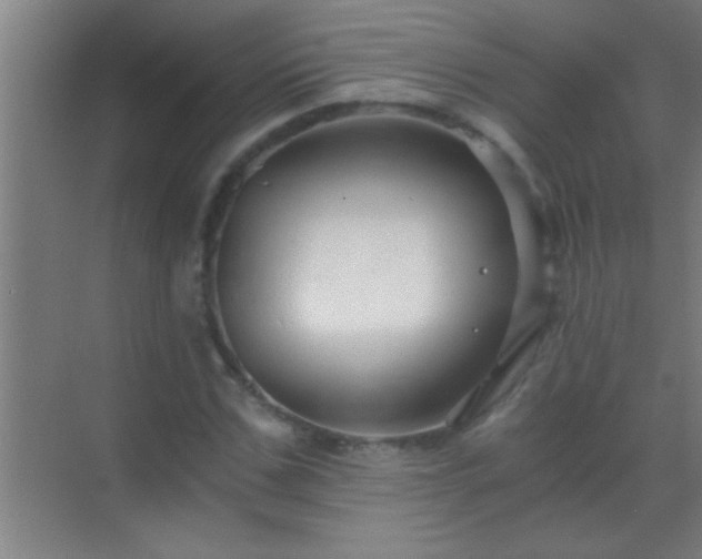 X0000069830971200605261837