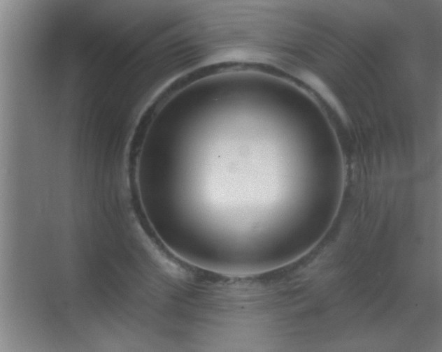 X0000069830972200605261837