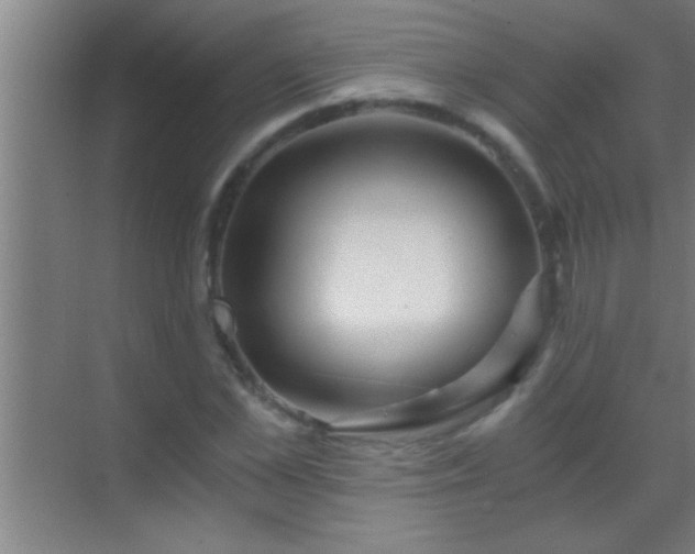 X0000069830973200605261837