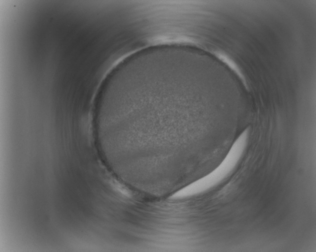 X0000069830975200605261836