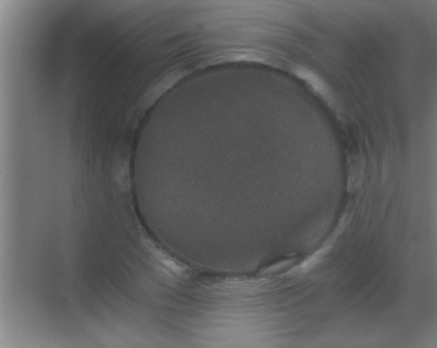 X0000069830977200605261836