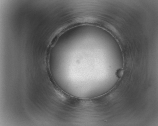 X0000069830978200605261836