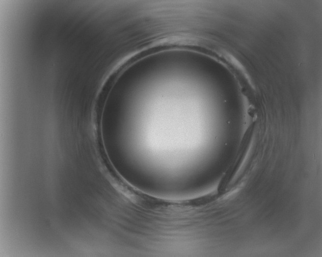 X0000069830981200605261836