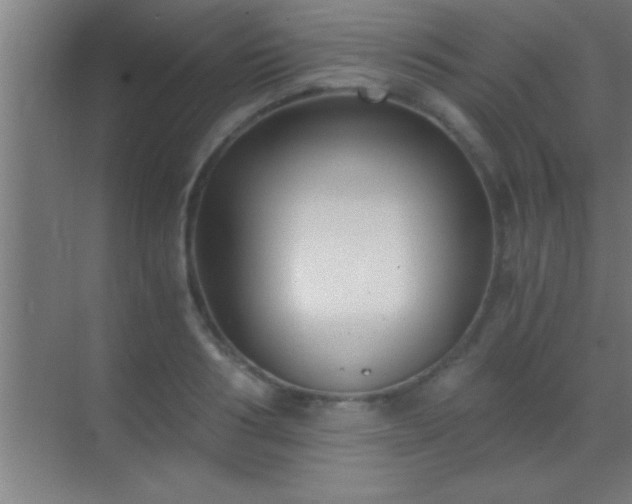 X0000069830986200605261836