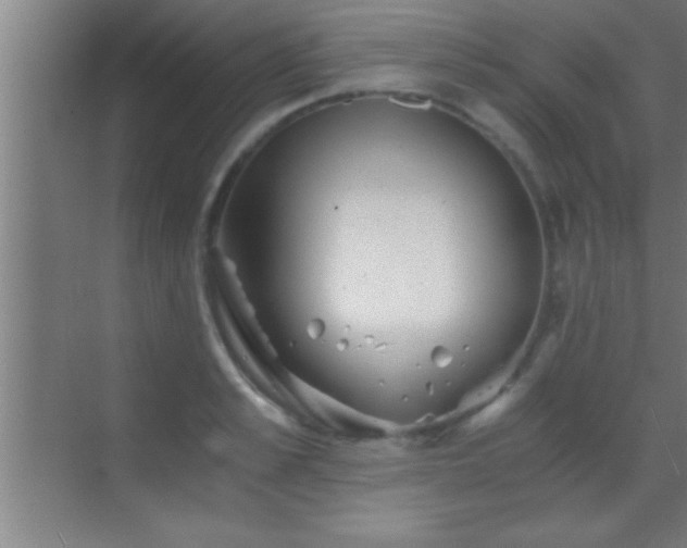 X0000069830989200605261836