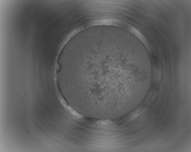 X0000069830994200605261836