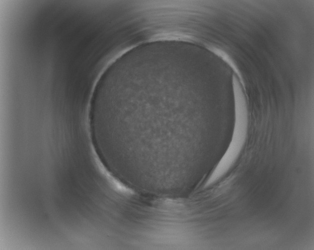 X0000069830995200605261836