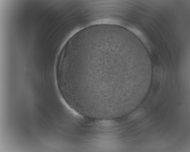 X0000069830998200605261836