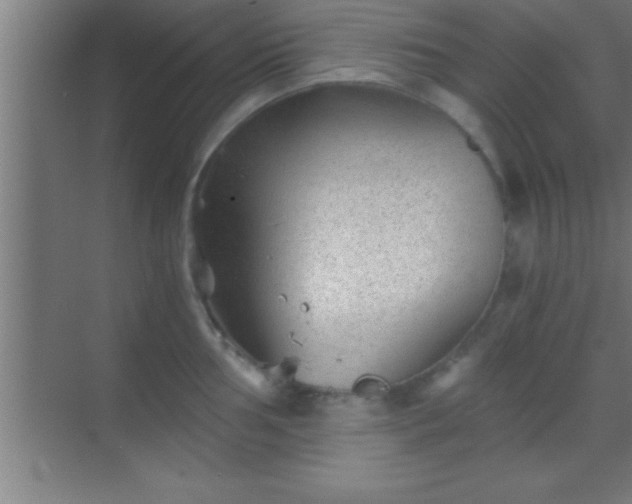 X0000069831002200605261836