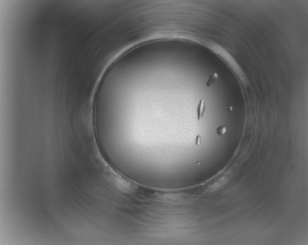 X0000069831004200605261836