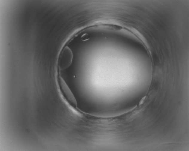 X0000069831005200605261836