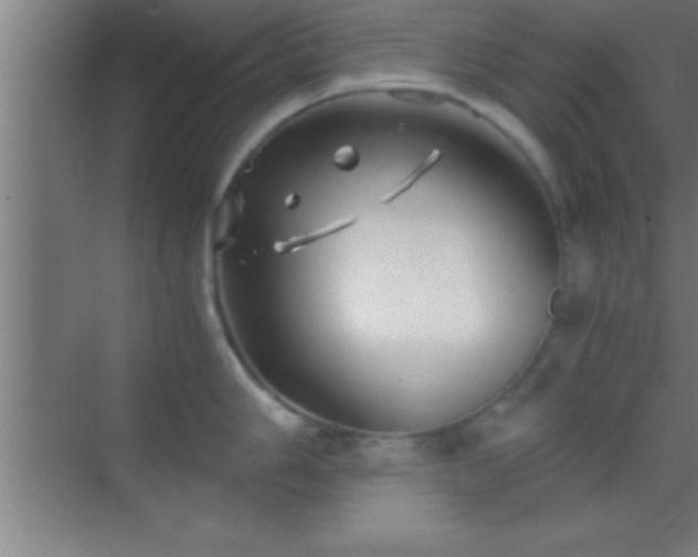 X0000069831006200605261836