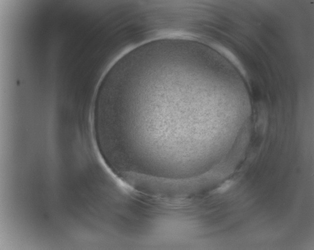 X0000069831007200605261836