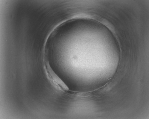 X0000069831008200605261836