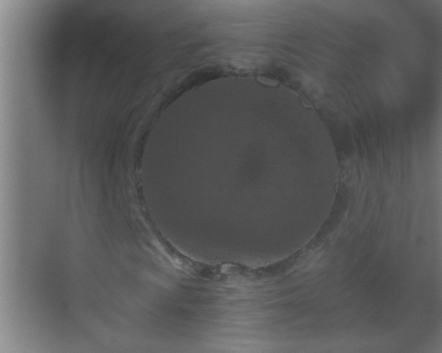 X0000069831009200605261835