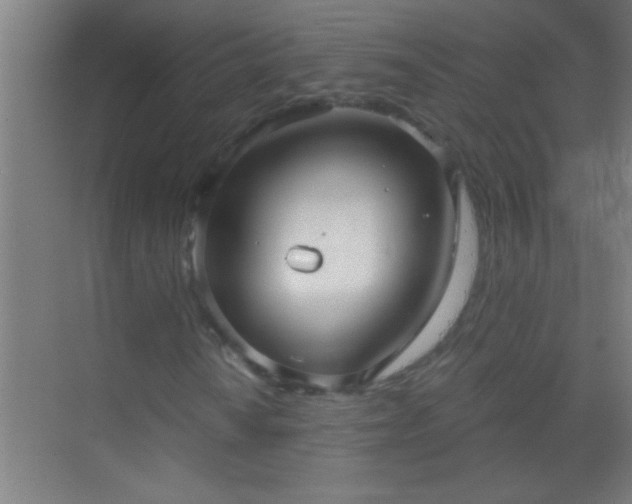 X0000069831010200605261835