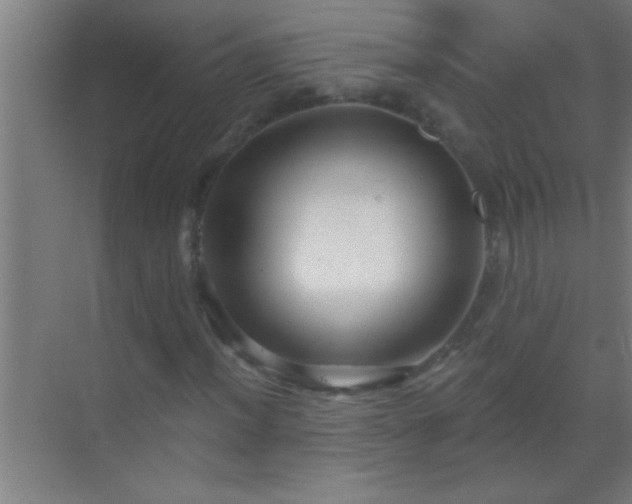 X0000069831012200605261835