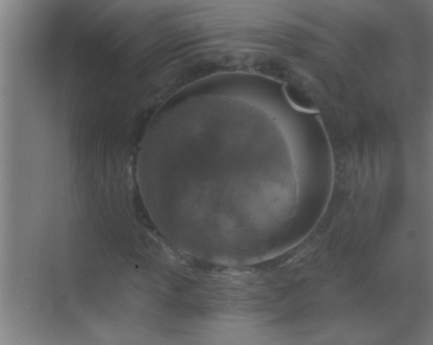 X0000069831013200605261835