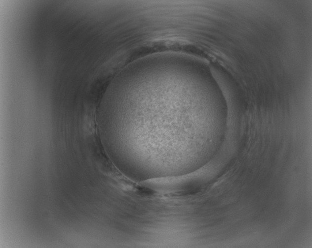 X0000069831014200605261835