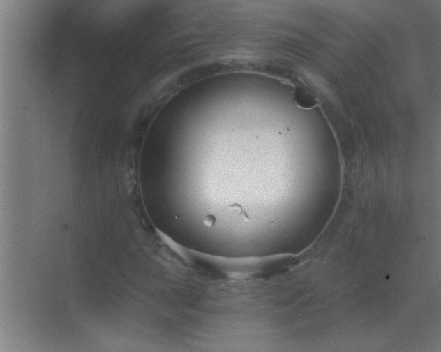 X0000069831015200605261835