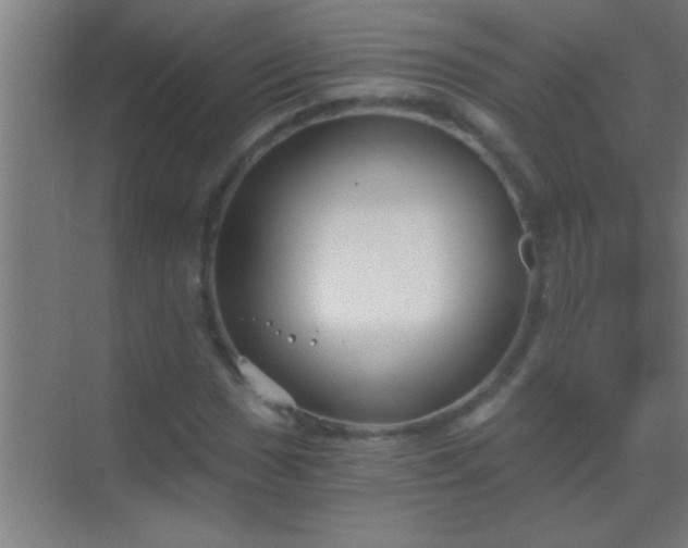 X0000069831017200605261835