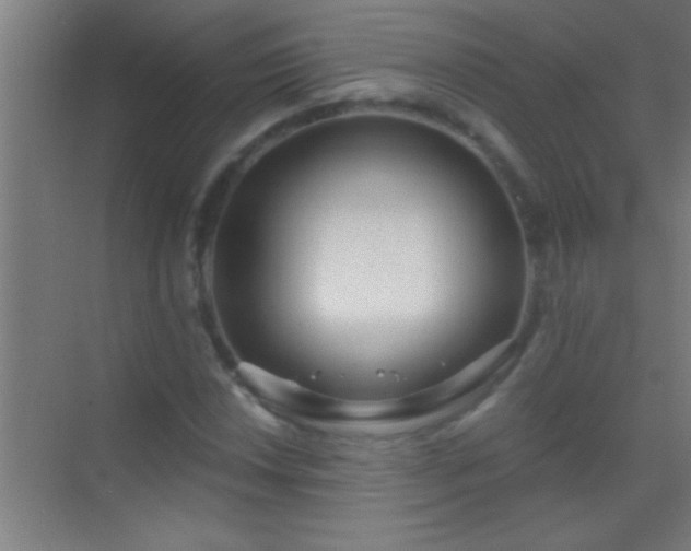 X0000069831018200605261835