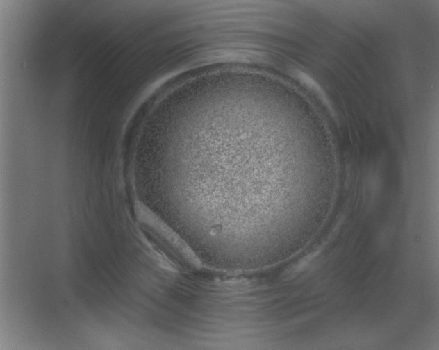 X0000069831019200605261835