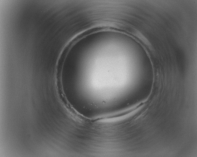 X0000069831020200605261835