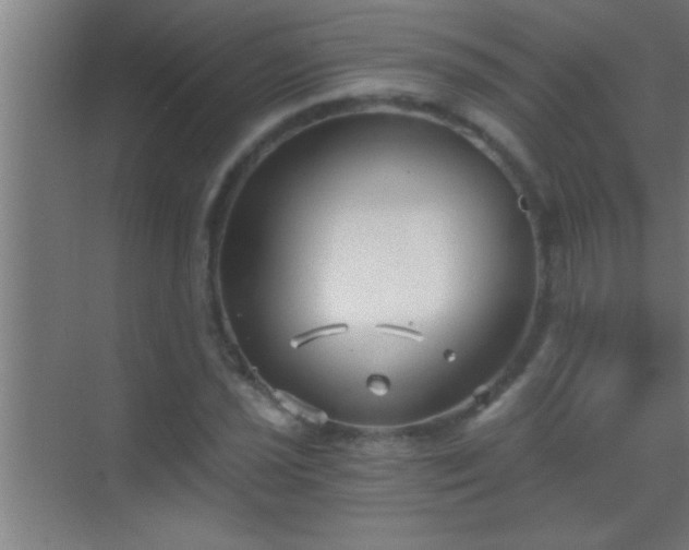 X0000069831021200605261835