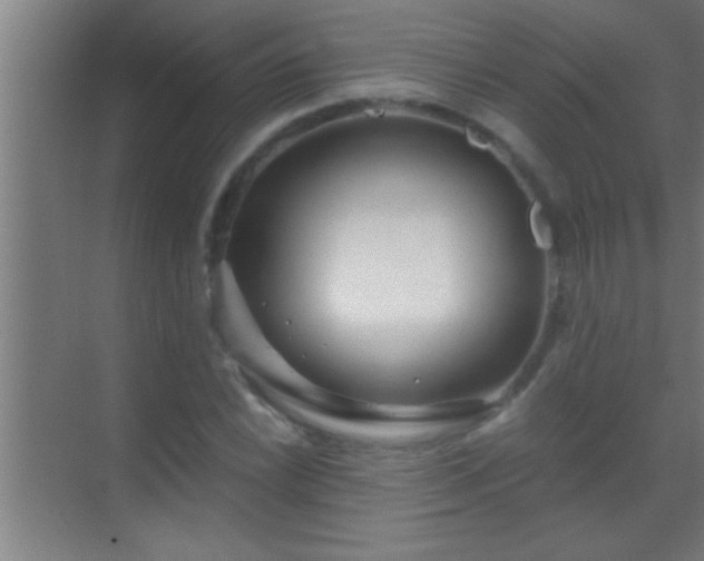 X0000069831022200605261835