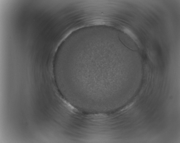 X0000069831023200605261835