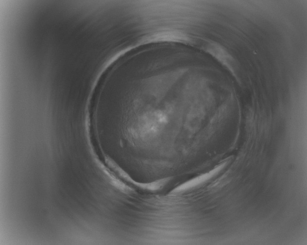 X0000069831024200605261835