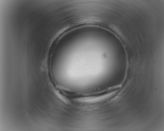 X0000069831026200605261835