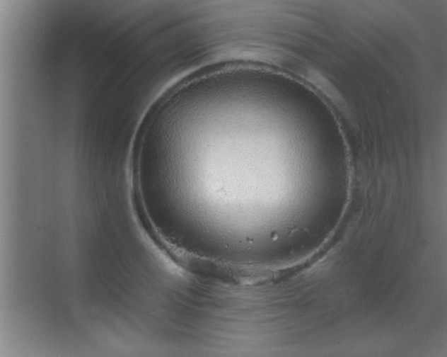 X0000069831028200605261835