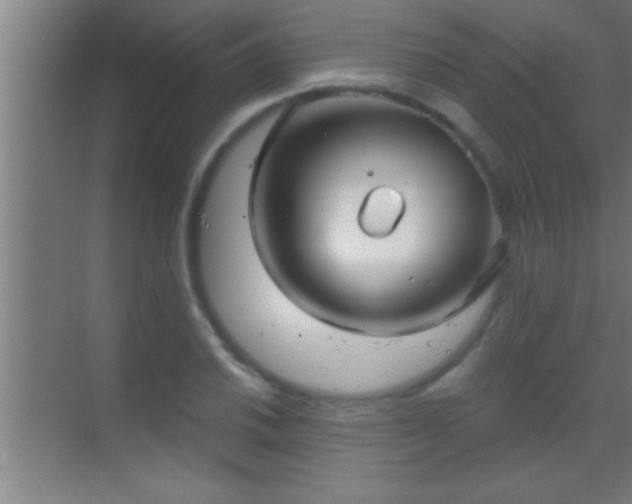 X0000069831030200605261835