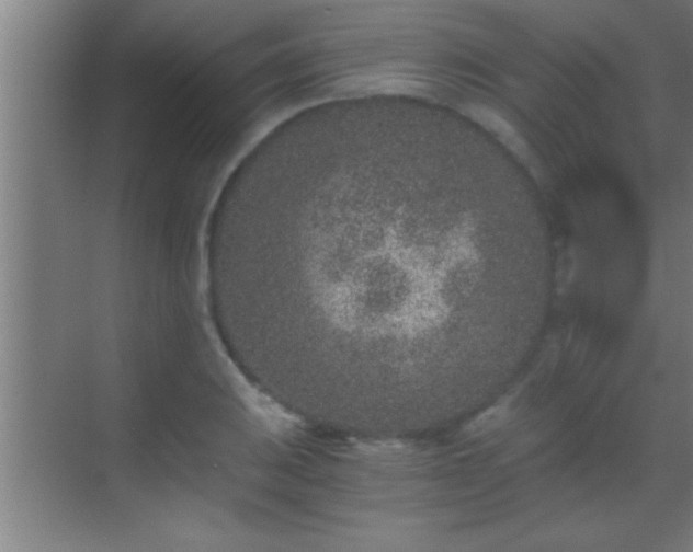 X0000069831031200605261835