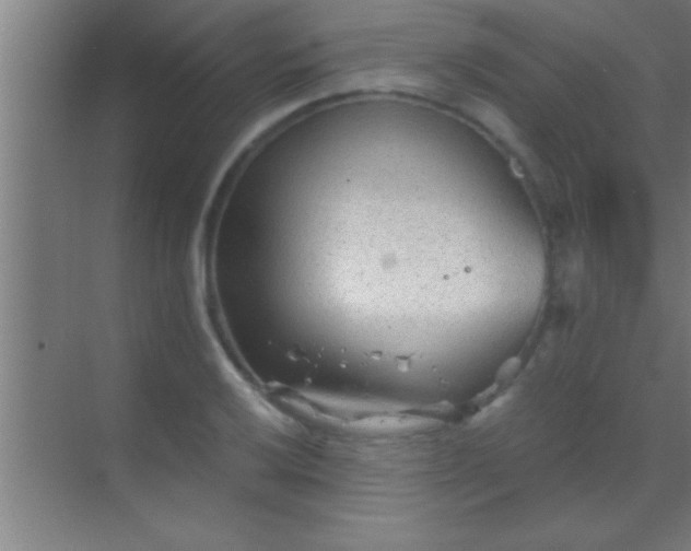 X0000069831032200605261836